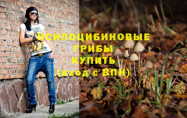 круглые Абаза