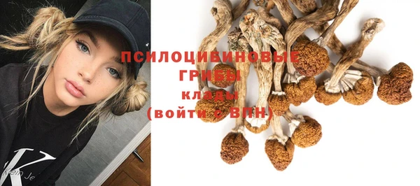эйфоретик Абинск