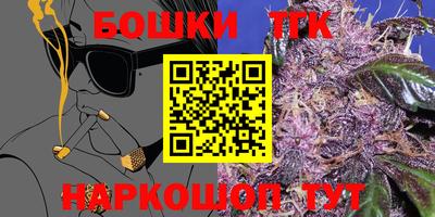 МДПВ Партизанск