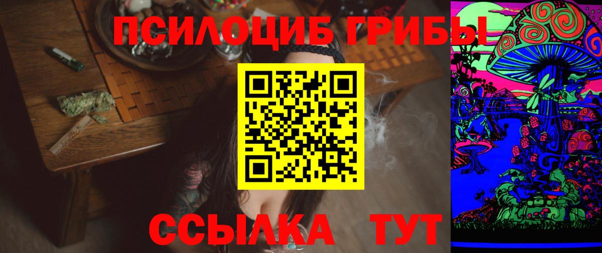 Шебекино  Галлюциногенные грибы Psilocybe  Вход с VPN 